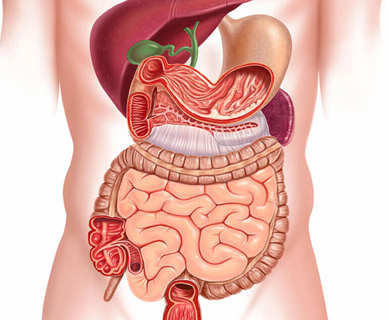 Gastroenterology